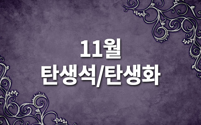 11월-탄생석-탄생화